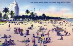 Where winter spends the summer, Miami Beach, Florida by Hampton Dunn