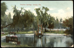 Sulphur Springs, Tampa, Fla.