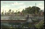 Palmaceia Springs, Tampa, Florida. by Hampton Dunn