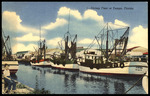 Shrimp Fleet at Tampa, Florida by Hampton Dunn