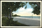 Beautiful Bayshore Drive on Tampa Bay, Tampa, Florida by Hampton Dunn
