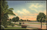 Beautiful Bayshore Boulevard, Tampa, Florida by Hampton Dunn