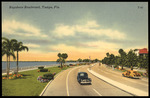 Bayshore Boulevard, Tampa, Florida by Hampton Dunn