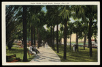 Palm Walk, Plant Park, Tampa, Florida by Hampton Dunn