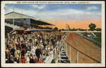 West Coast Racing and Athletic Association Dog Track, Tampa, Florida by Hampton Dunn