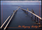 The Skyway Bridge