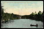 On the Hillsborough River, near Famous Sulphur Springs, Tampa, Florida