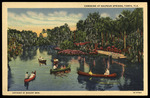 Canoeing at Sulphur Springs, Tampa, Florida by Hampton Dunn