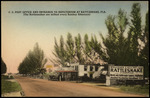 U.S. Post Office and Entrance to Repiltorium at Rattlesnake, Florida by Hampton Dunn