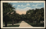 Palm Walk, Ballast Point, Tampa, Florida by Hampton Dunn