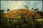 People near a Dome by Hampton Dunn