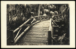 Wooden Bridge by Hampton Dunn