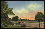 Beautiful Bayshore Boulevard, Tampa, Florida by Hampton Dunn