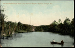On the Hillsborough River, near Famous Sulphur Springs, Tampa, Florida by Hampton Dunn