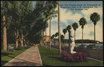 The Tourists Enjoy the Promenade at Waterfront Park in St. Petersburg, Florida by Hampton Dunn