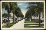 Second Street North, St. Petersburg, Florida by Hampton Dunn