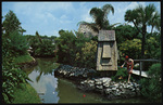 Tiki Gardens, Indian Rocks Beach, Florida by Hampton Dunn