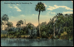 Maximo Bayou, Near St. Petersburg, Florida by Hampton Dunn
