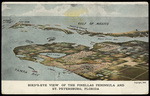 Bird's Eye View of the Pinellas Peninsula and St. Petersburg, Florida by Hampton Dunn