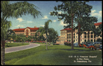 U.S. Veterans' Hospital at Bay Pines, St. Petersburg, Florida by Hampton Dunn