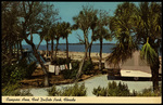 Campers Area, Fort De Soto Park, Florida by Hampton Dunn
