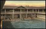 The Pool, The Belleview Biltmore, Belleair, Florida by Hampton Dunn