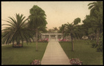 The Belleview Biltmore, Approach to Tea Garden, Belleair, Florida by Hampton Dunn