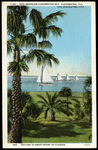 Sailboats on Clearwater Bay, Clearwater, Florida by Hampton Dunn