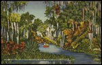 Along the Beautiful Anclote River, Tarpon Springs, Florida by Hampton Dunn