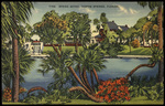 Spring Bayou, Tarpon Springs, Florida by Hampton Dunn
