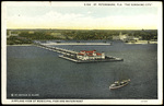 Airplane View of Municipal Pier and Waterfront, St. Petersburg, Florida by Hampton Dunn