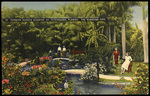 Turners Sunken Gardens, St. Petersburg, Florida by Hampton Dunn