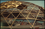 The Golden Dome of the Aquarium, St. Petersburg, Florida by Hampton Dunn