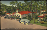 View of Lowe's Camp on City Bus Line, St. Petersburg, Florida by Hampton Dunn