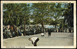 Roque Court, Williams Park, St. Petersburg, Florida by Hampton Dunn