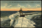Surf Board Riding on the Gulf of Mexico, St. Petersburg Gulf Beaches by Hampton Dunn