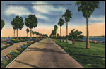 Memorial Causeway Connecting Clearwater and Clearwater Beach, Florida by Hampton Dunn