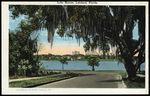 Lake Morton, Lakeland, Florida by Hampton Dunn