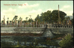 Palma Ceia Springs, Tampa, Florida by Hampton Dunn