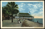 Ballast Point Pavilion, Tampa, Florida by Hampton Dunn
