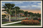 Hyde Park, Residence Section, Tampa, Florida by Hampton Dunn