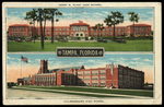 Henry B. Plant High School, Hillsborough High School by Hampton Dunn