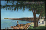 Fishing Along Courtney Campbell Parkway Connecting Clearwater and Tampa, Florida by Hampton Dunn