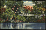 Hillsborough River State Park, Tampa, Florida by Hampton Dunn