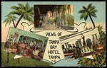 Views of Tampa Bay Hotel, Tampa, Florida by Hampton Dunn