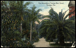 The Grounds at Tampa Bay Hotel, Tampa, Florida by Hampton Dunn