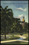 Campus Scene at the University of Tampa, Tampa, Florida by Hampton Dunn