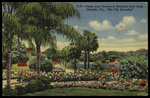Palms and Flowers in Beautiful Eola Park, Orlando, Florida , "The City Beautiful". by Hampton Dunn