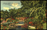 Scene in Turner's Sunken Gardens. St. Petersburg, "The Sunshine City", Florida by Hampton Dunn