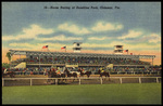 Horse Racing at Sunshine Park, Oldsmar, Florida by Hampton Dunn